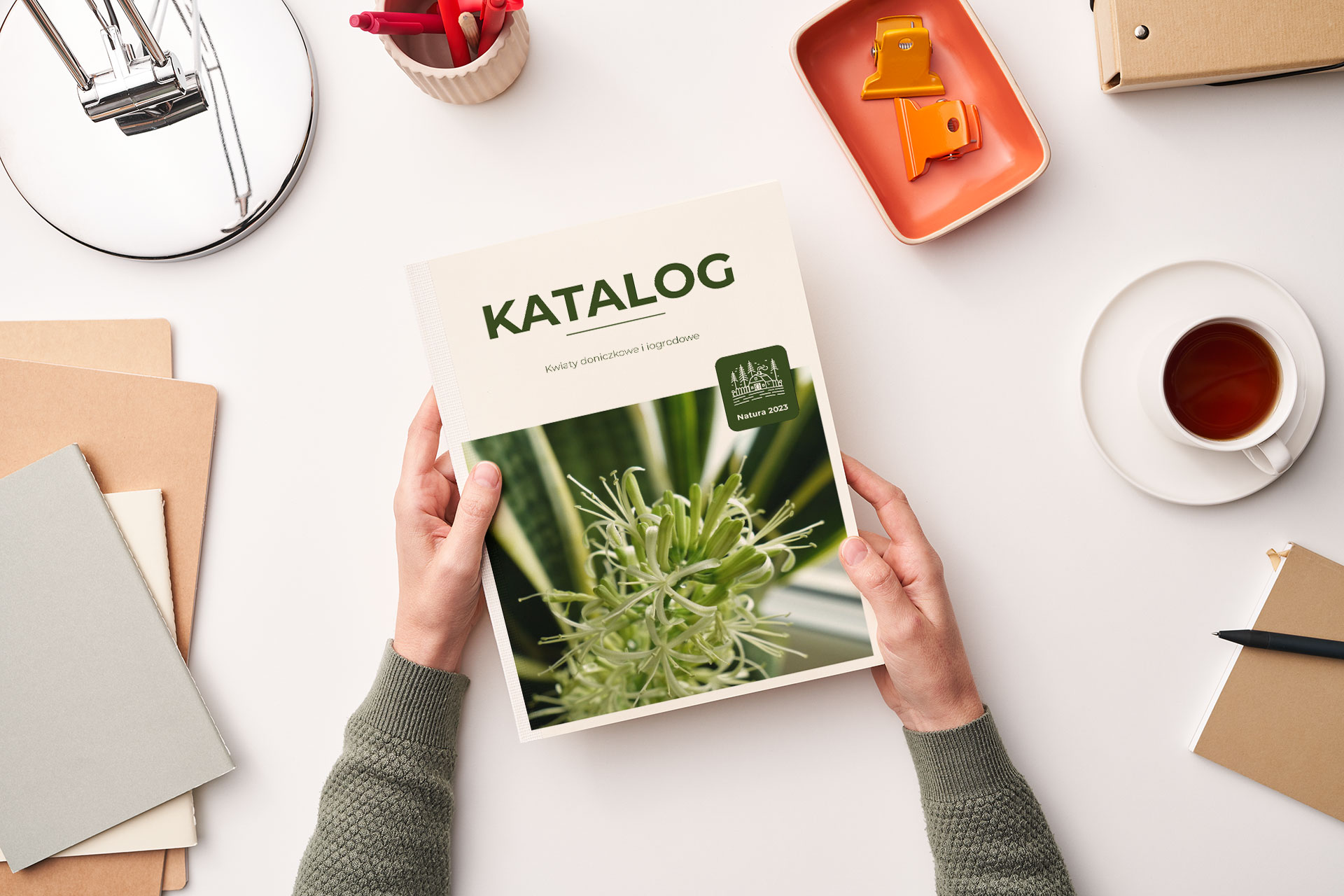 katalog produktów